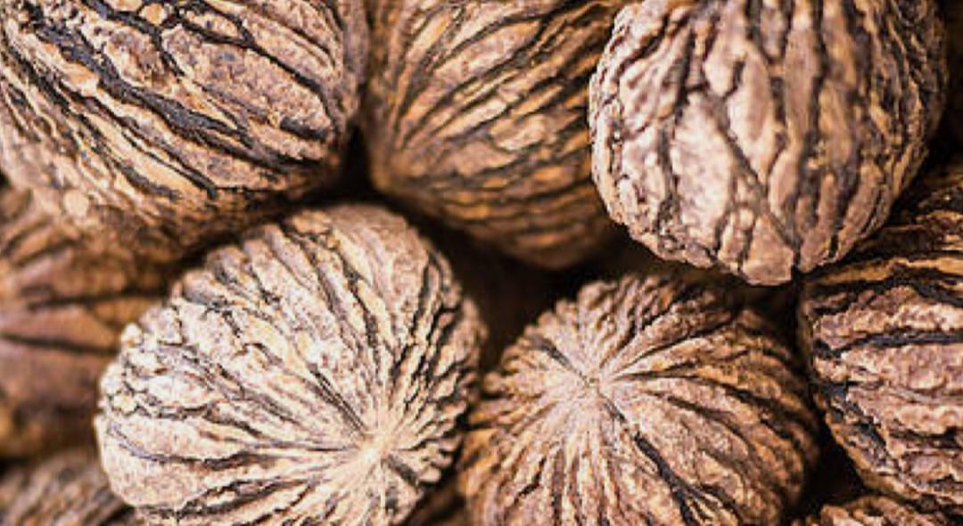 Have you heard of Black Walnuts?