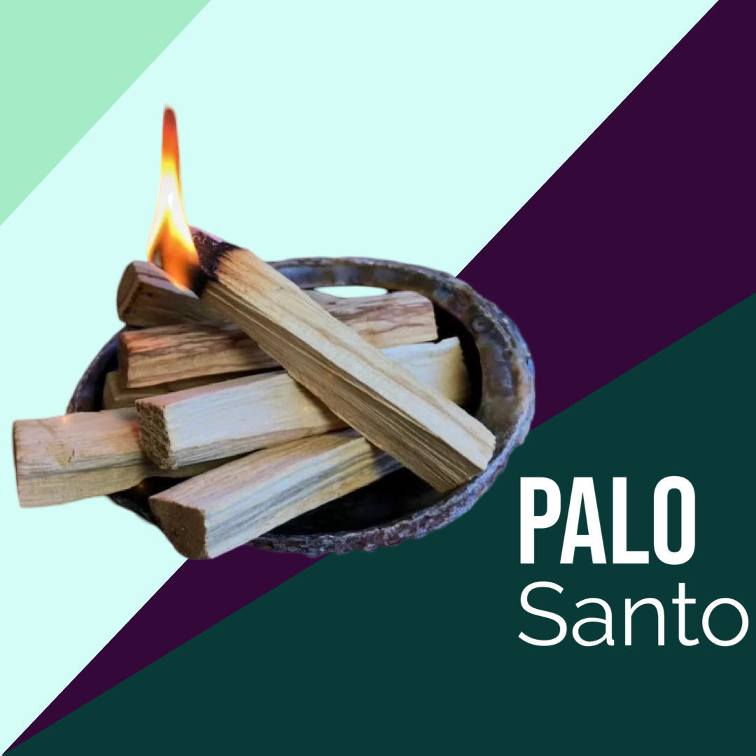 Palo Santo (10 - 12 Sticks)