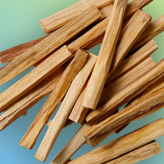 Palo Santo (10 - 12 Sticks)